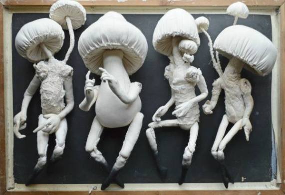 Pilze aus einer Ausstellung in einem Anthropology Shop